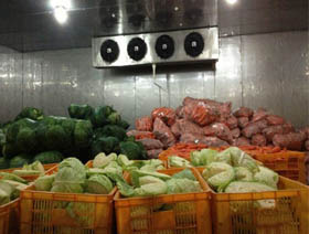 广州蔬菜冷库