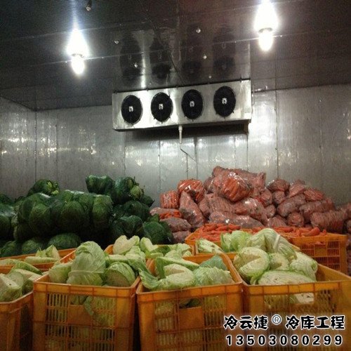 广州蔬菜冷库