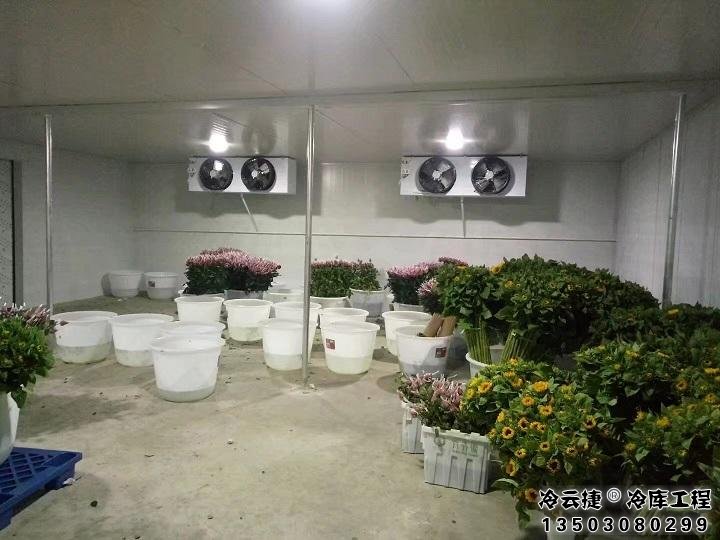 广州鲜花冷库