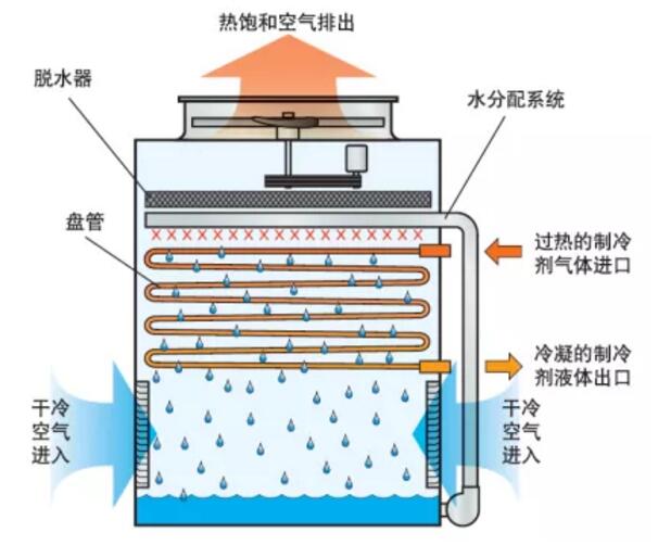 冷库蒸发器可分为两大类